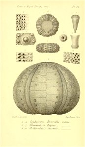 n546_w1150