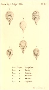 n526_w1150