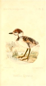 n502_w1150