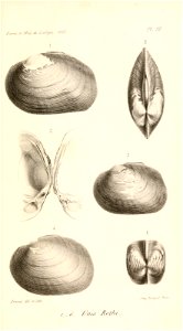 n452_w1150