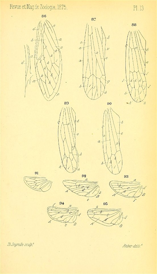 n544_w1150