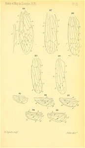 n544_w1150