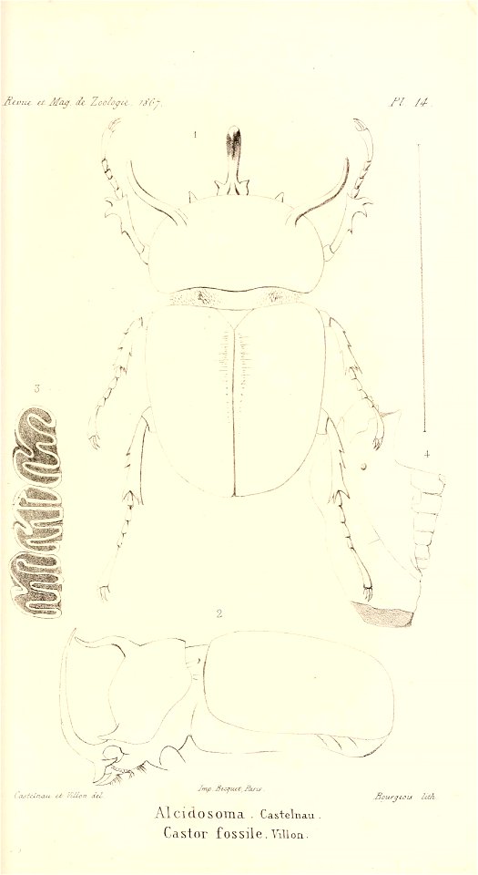 n496_w1150