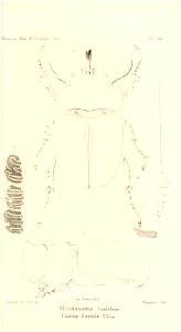 n496_w1150