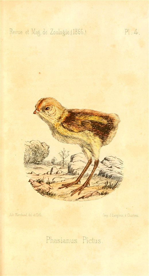 n500_w1150