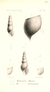 n534_w1150