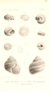 n504_w1150
