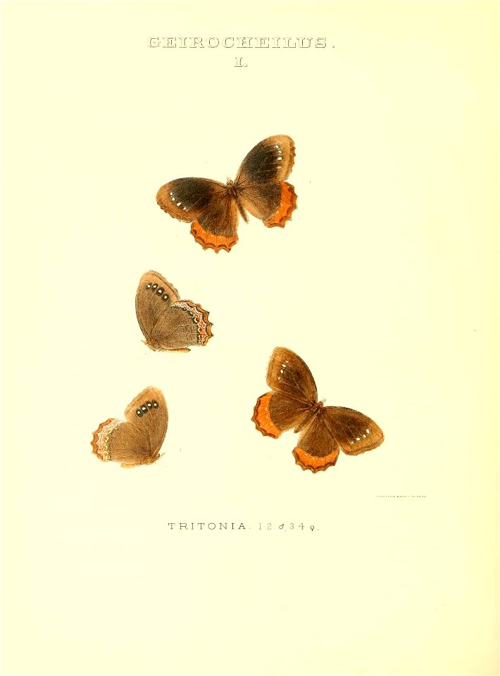 n207_w1150