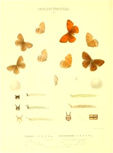 n79_w1150