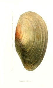 n58_w1150