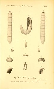 n376_w1150