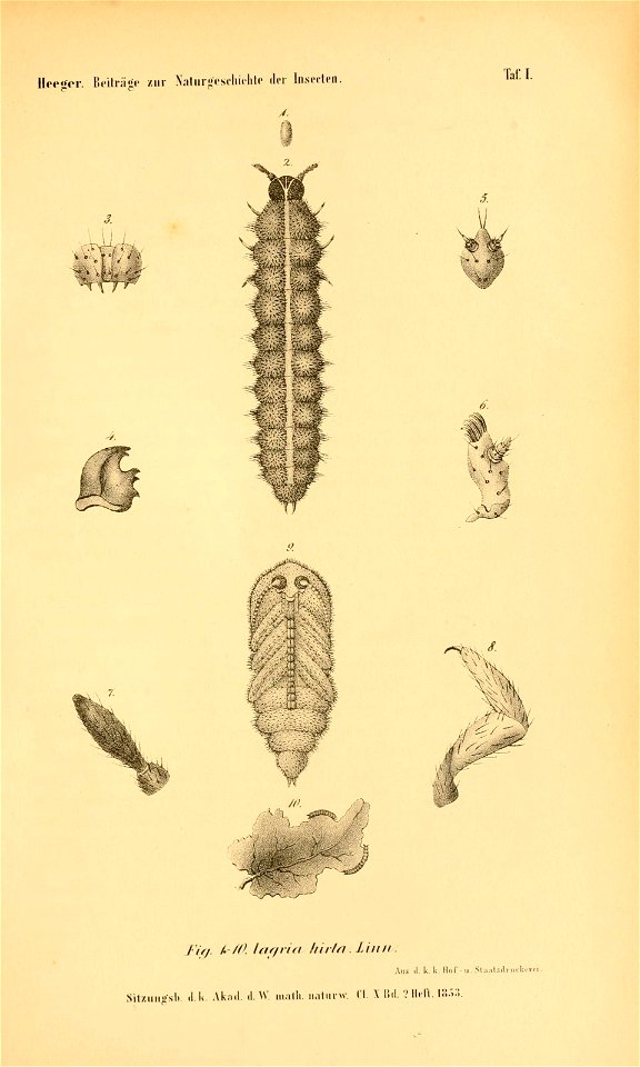 n284_w1150