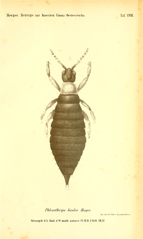 n208_w1150