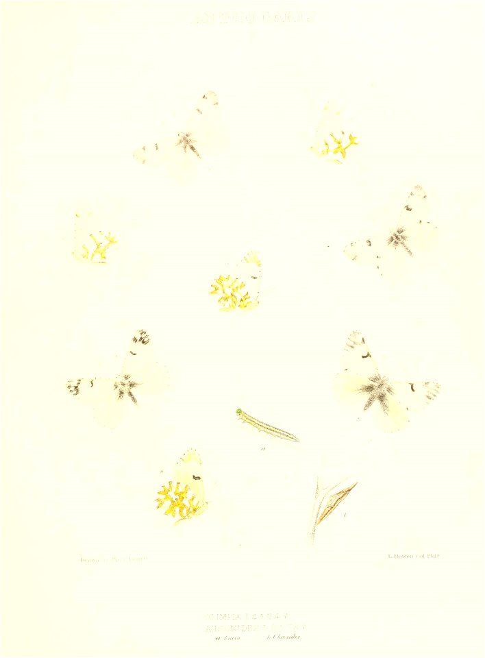 n128_w1150