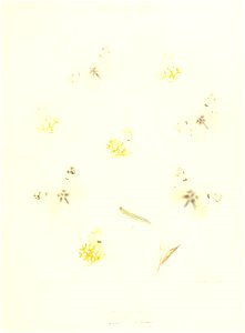 n128_w1150