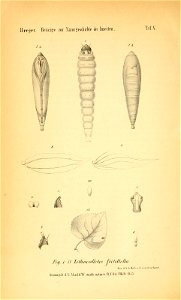n269_w1150