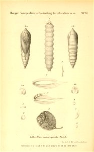 n181_w1150