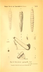 n264_w1150