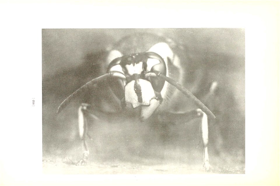 n217_w1150