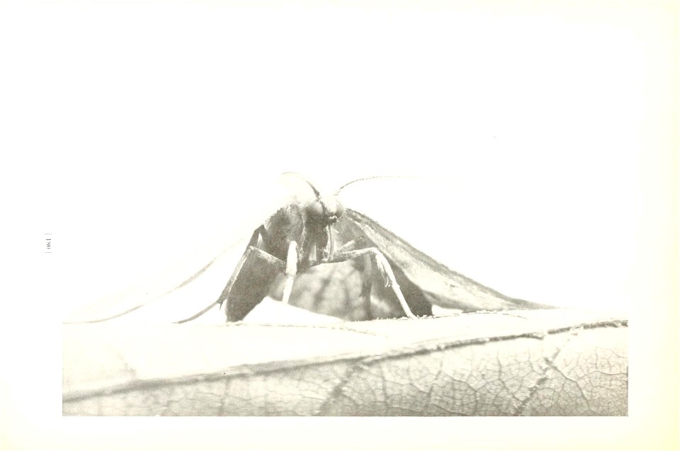 n183_w1150