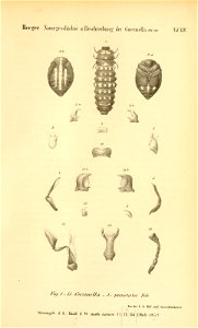 n170_w1150