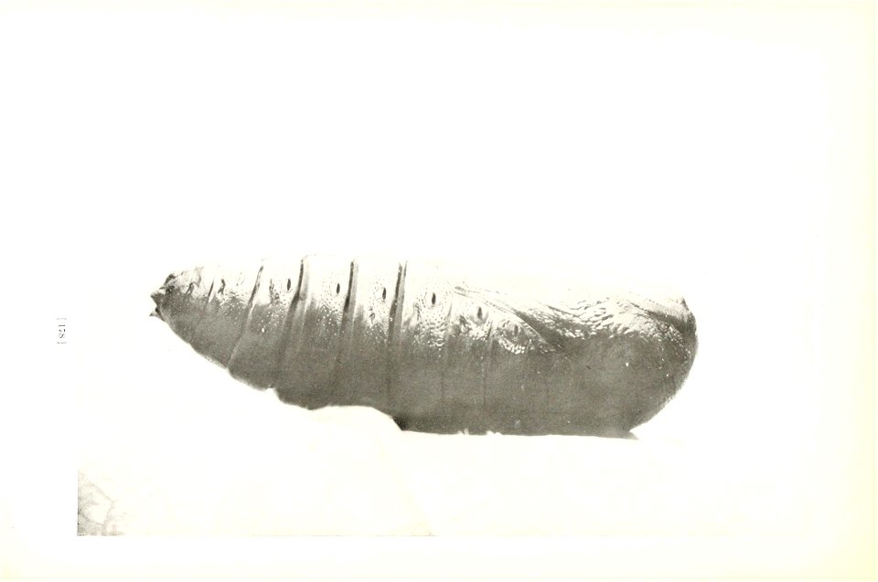 n181_w1150