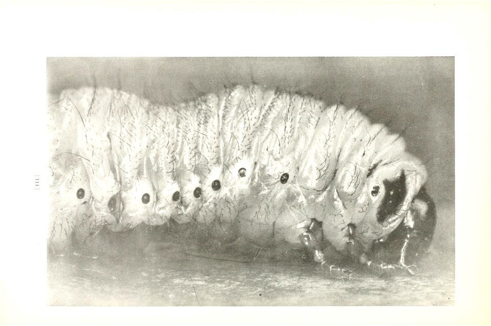 n117_w1150