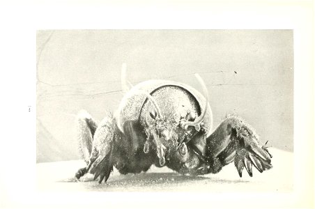 n83_w1150