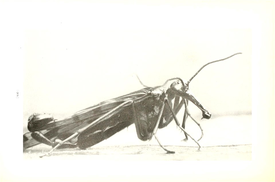 n211_w1150