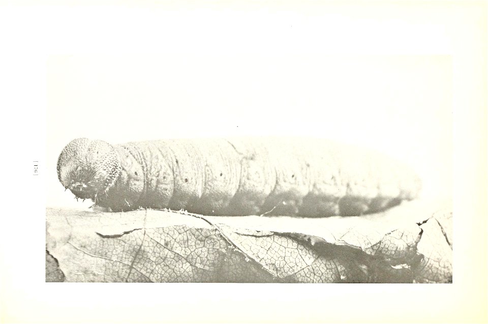 n179_w1150