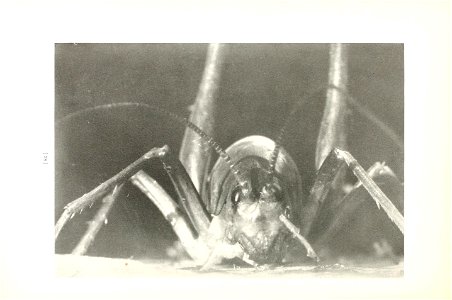 n81_w1150