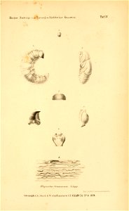 n588_w1150