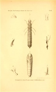 n520_w1150