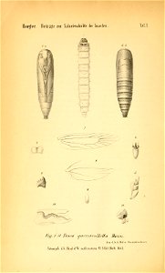 n247_w1150