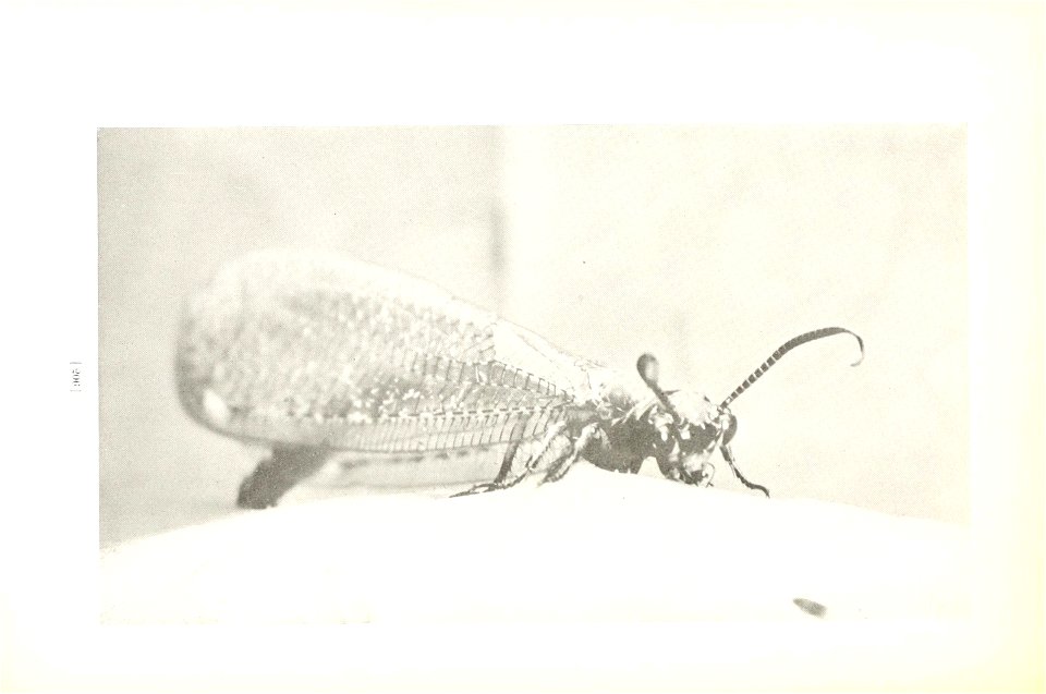 n209_w1150