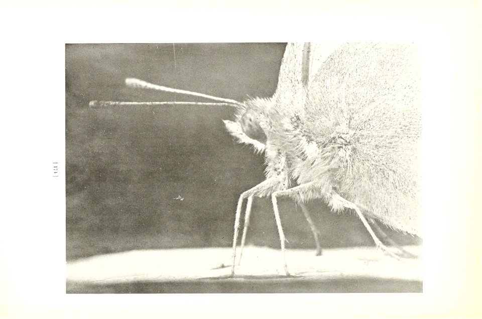 n177_w1150