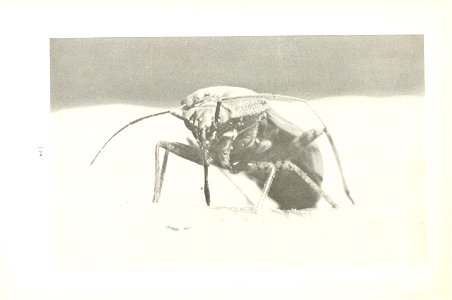 n109_w1150
