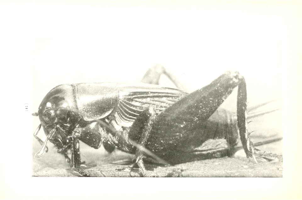 n77_w1150
