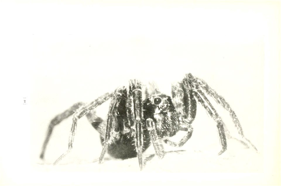 n43_w1150