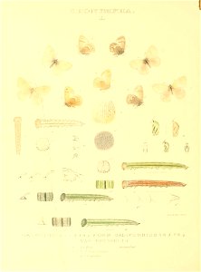 n133_w1150
