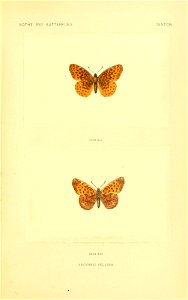 n202_w1150