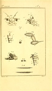 n906_w1150
