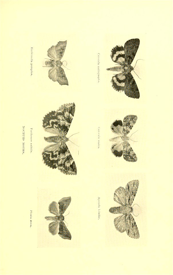 n104_w1150