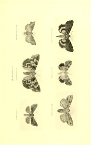 n104_w1150