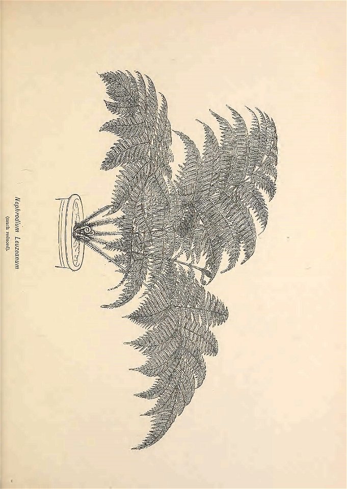 n434_w1150