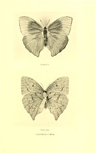 n248_w1150