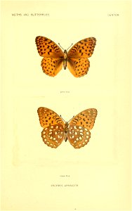 n198_w1150