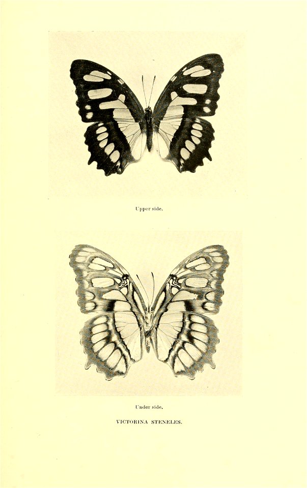 n124_w1150