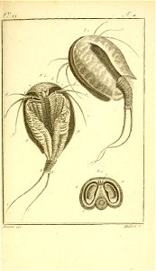 n872_w1150