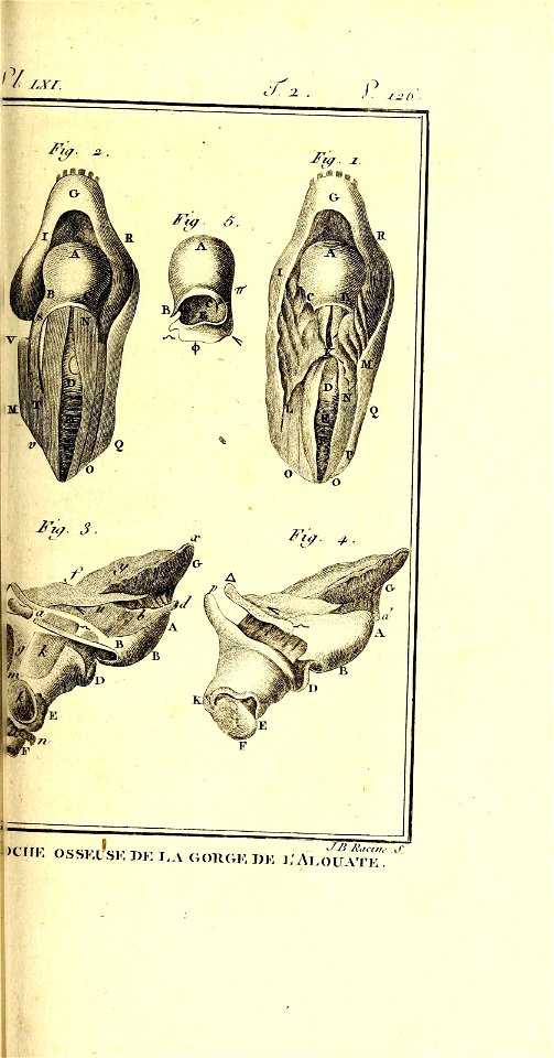 n182_w1150